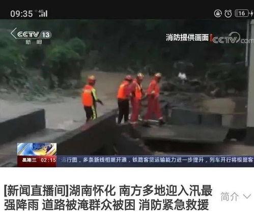 洪大炮最新爆料新闻直播,揭秘事件背后惊人真相